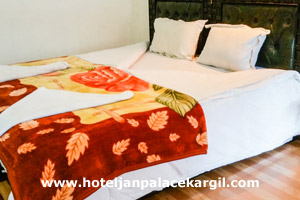 Hotel Jan Palace Kargil Ladakh Double Room